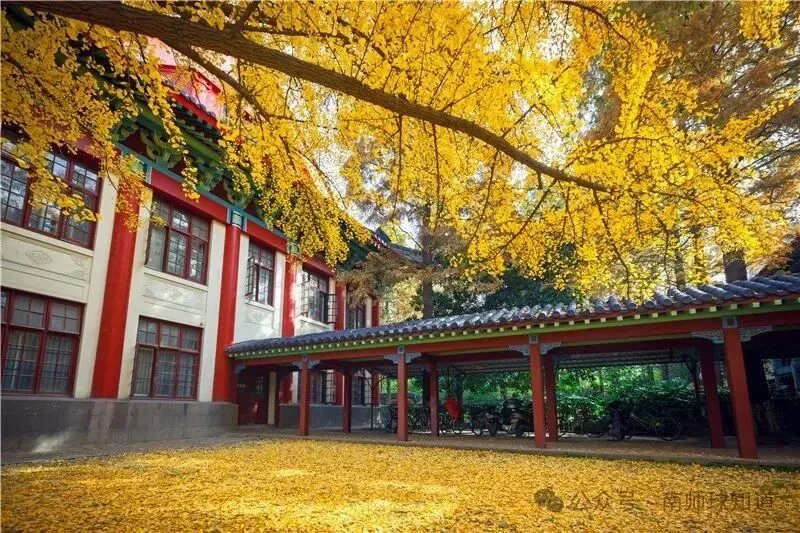 随园校区秋日实景，2025 年历史资料图片